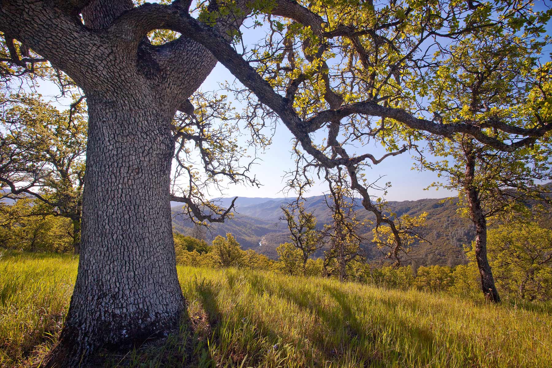 Berryessa Snow Mountain National Monument California