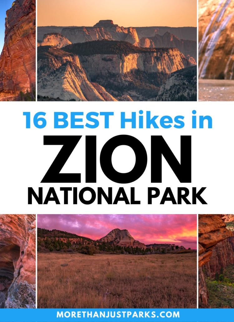 16 AMAZING Hikes in Zion National Park (Helpful Guide)