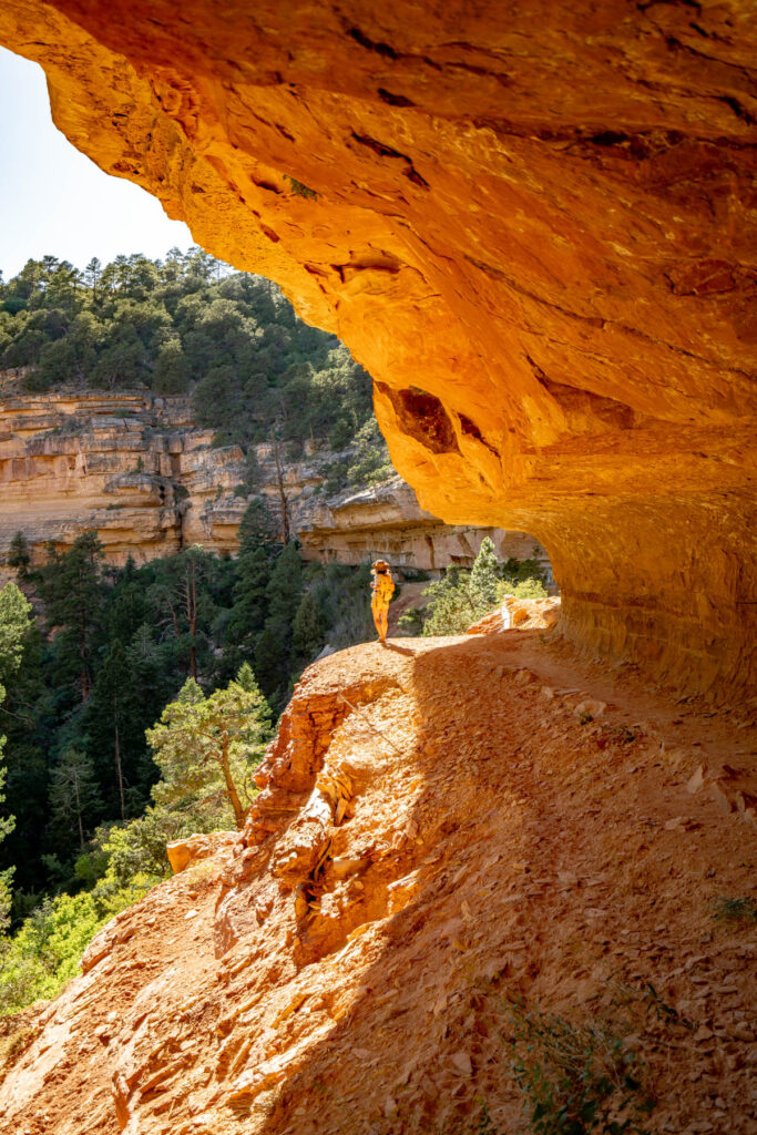 cliff spring trail, things to do north rim grand canyon
