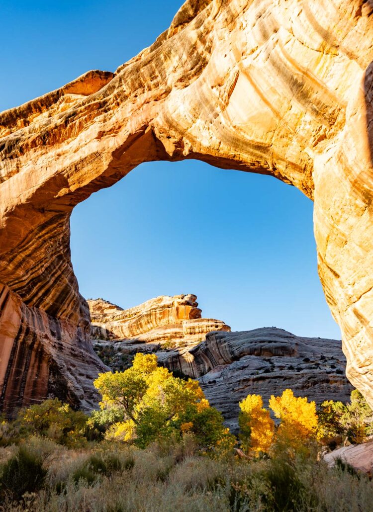 Natural Bridges National Monument: Utah’s Dark Sky Wonderland
