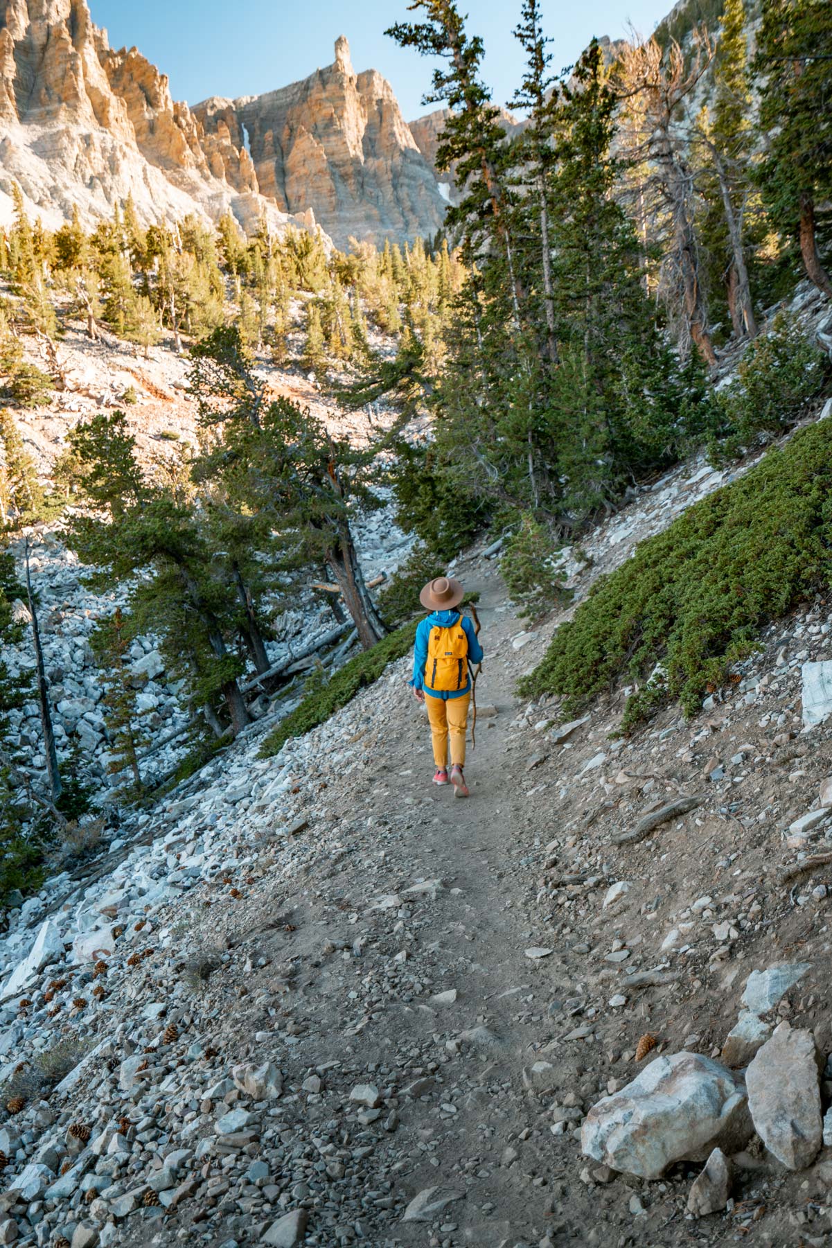 things to do in great basin national park nevada