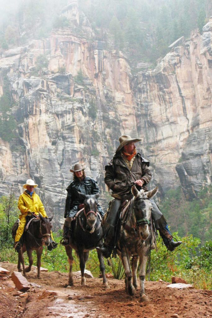 mule rides grand canyon national park arizona