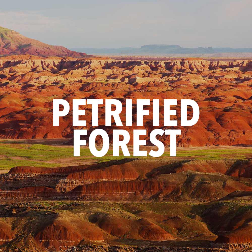 petrified forest national park