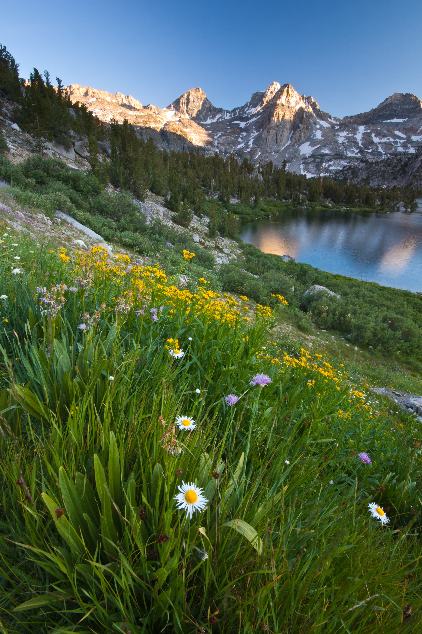 Kings Canyon National Park Facts