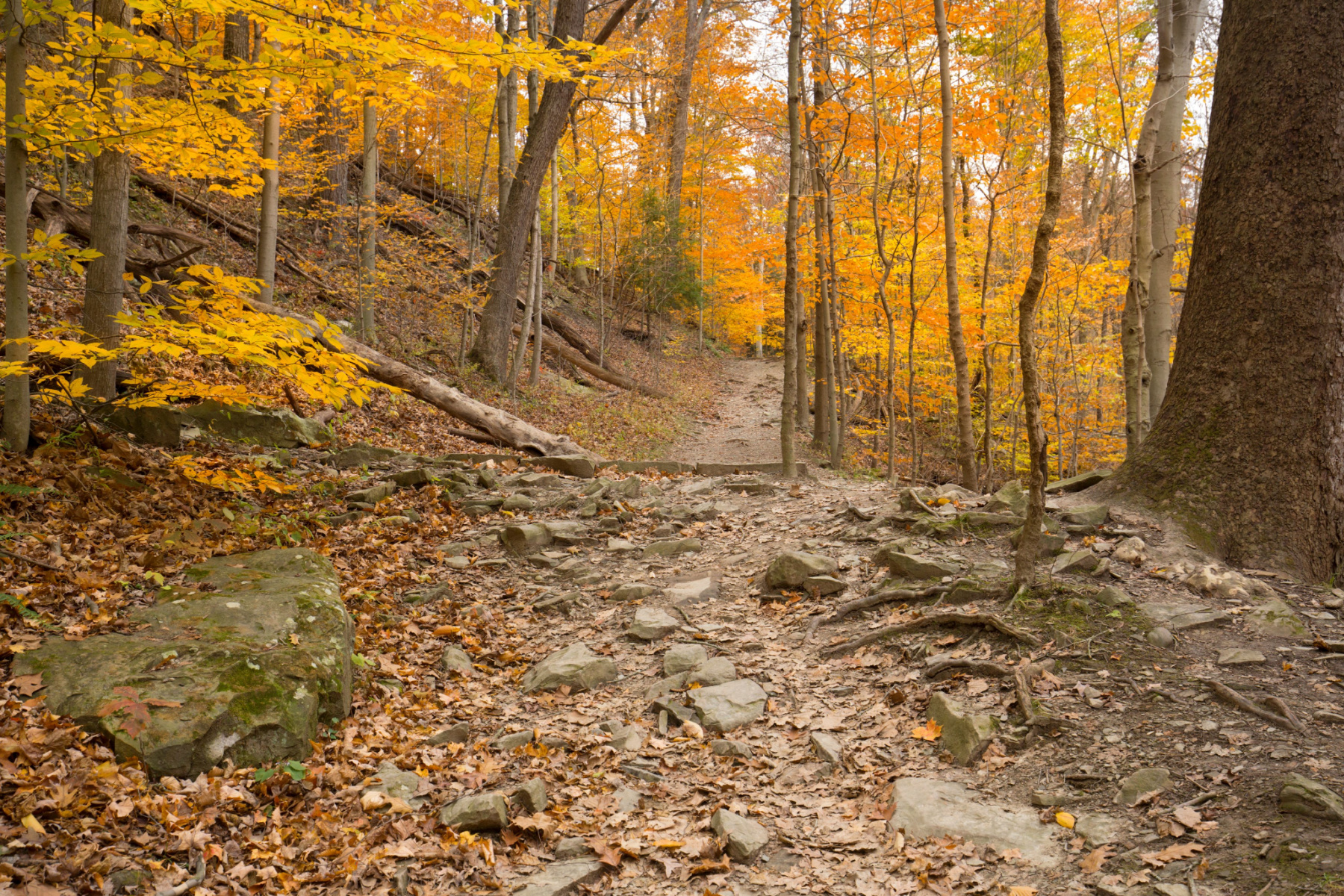 things to do cuyahoga valley national park