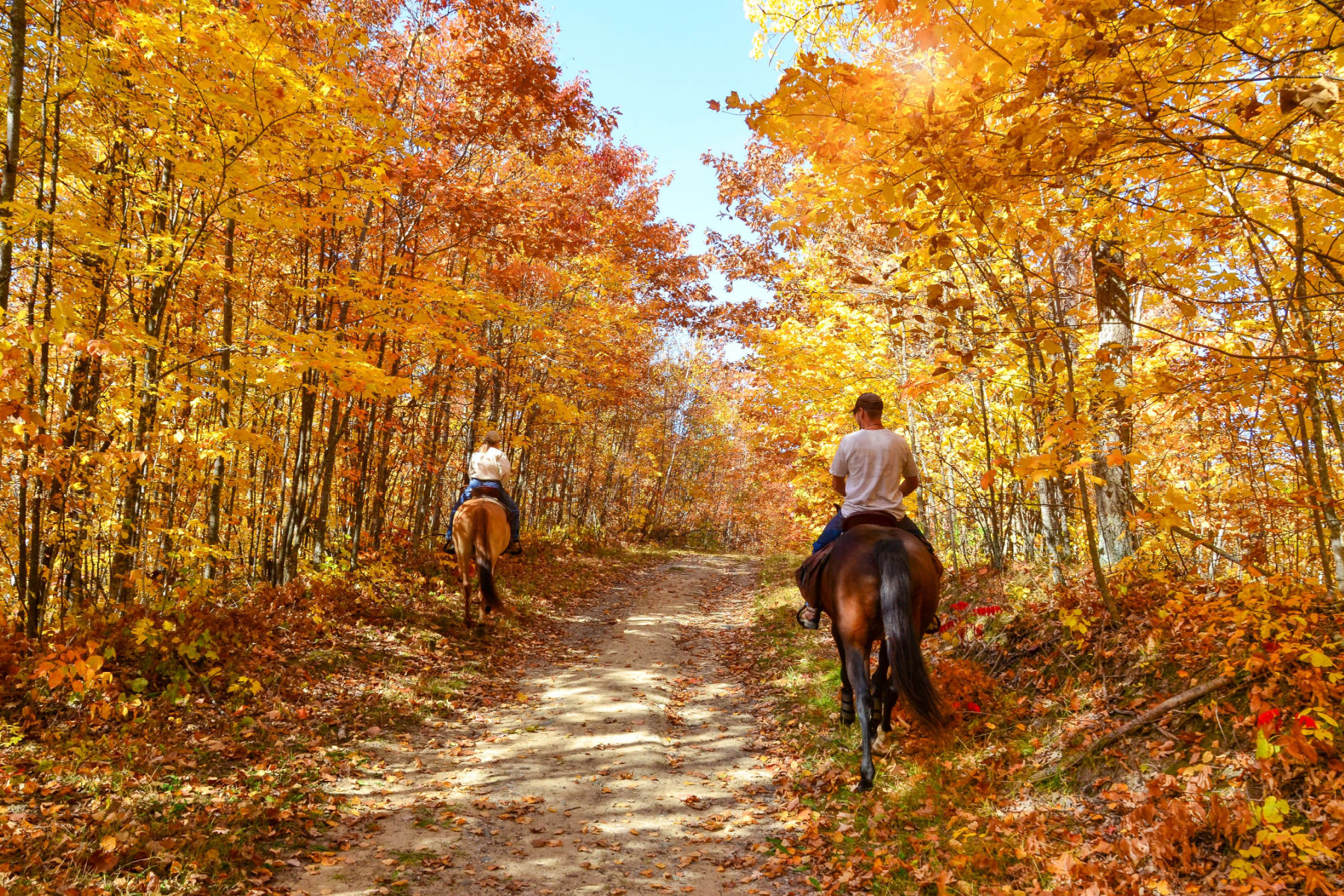 horseback riding