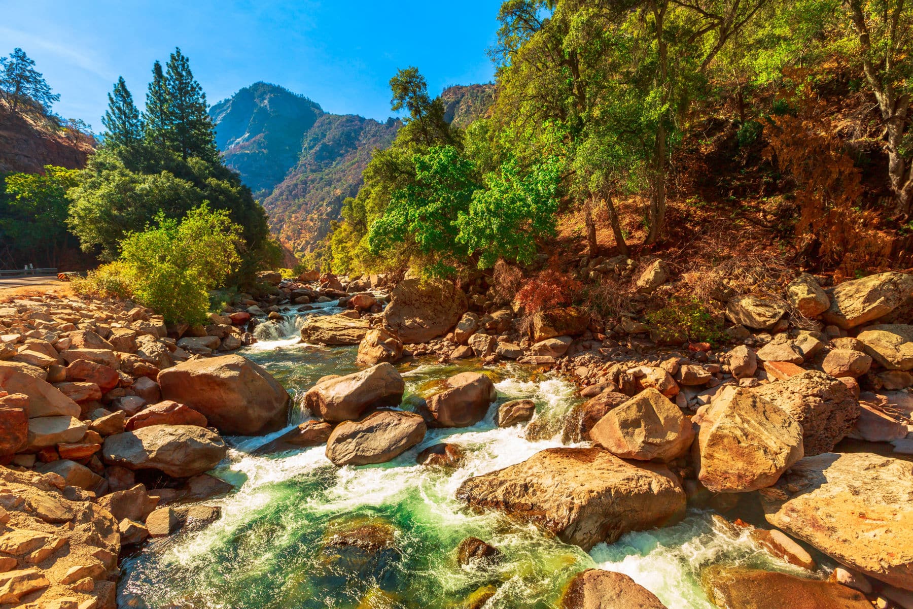 Kings Canyon National Park Facts