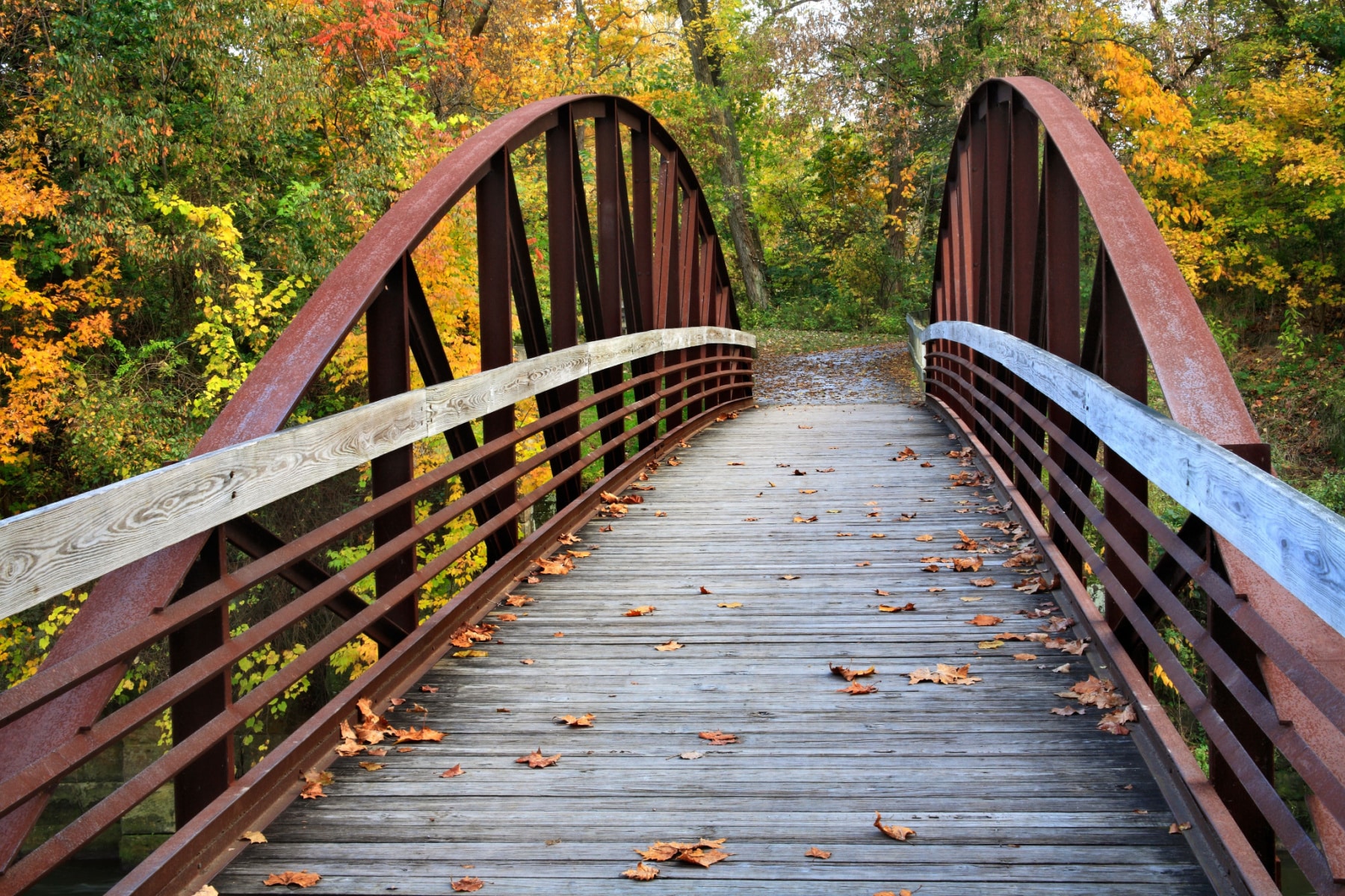 cuyahoga valley bridge