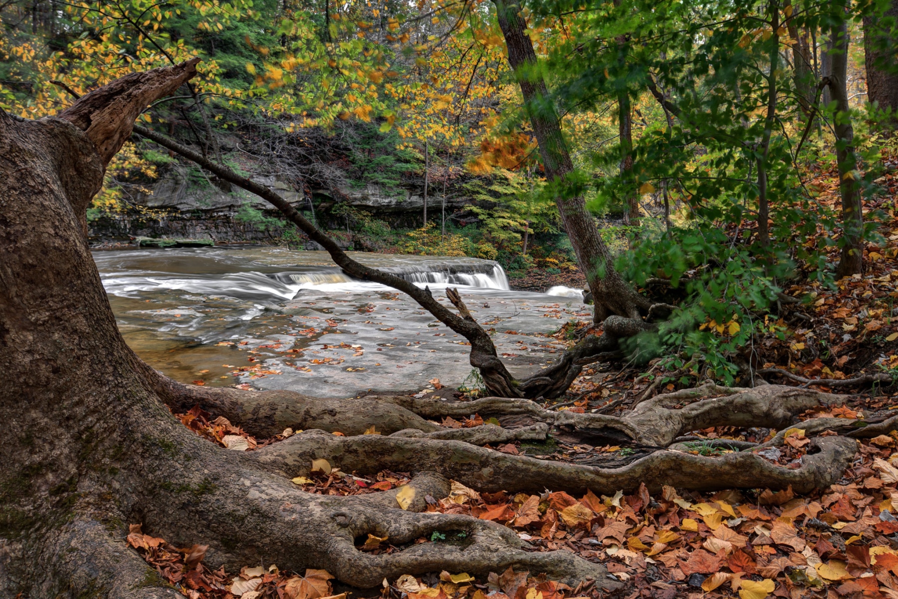 cuyahoga valley national park things to do