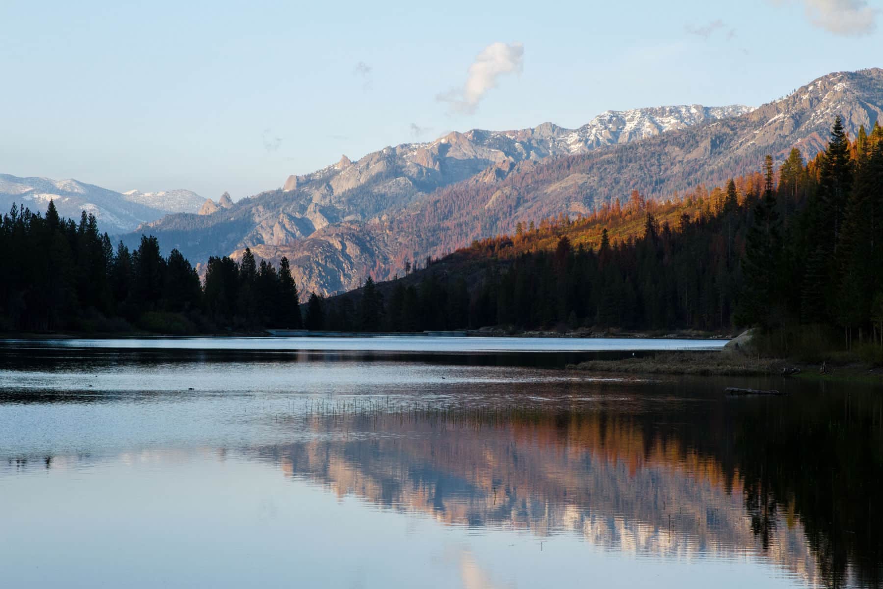 Kings Canyon National Park Facts