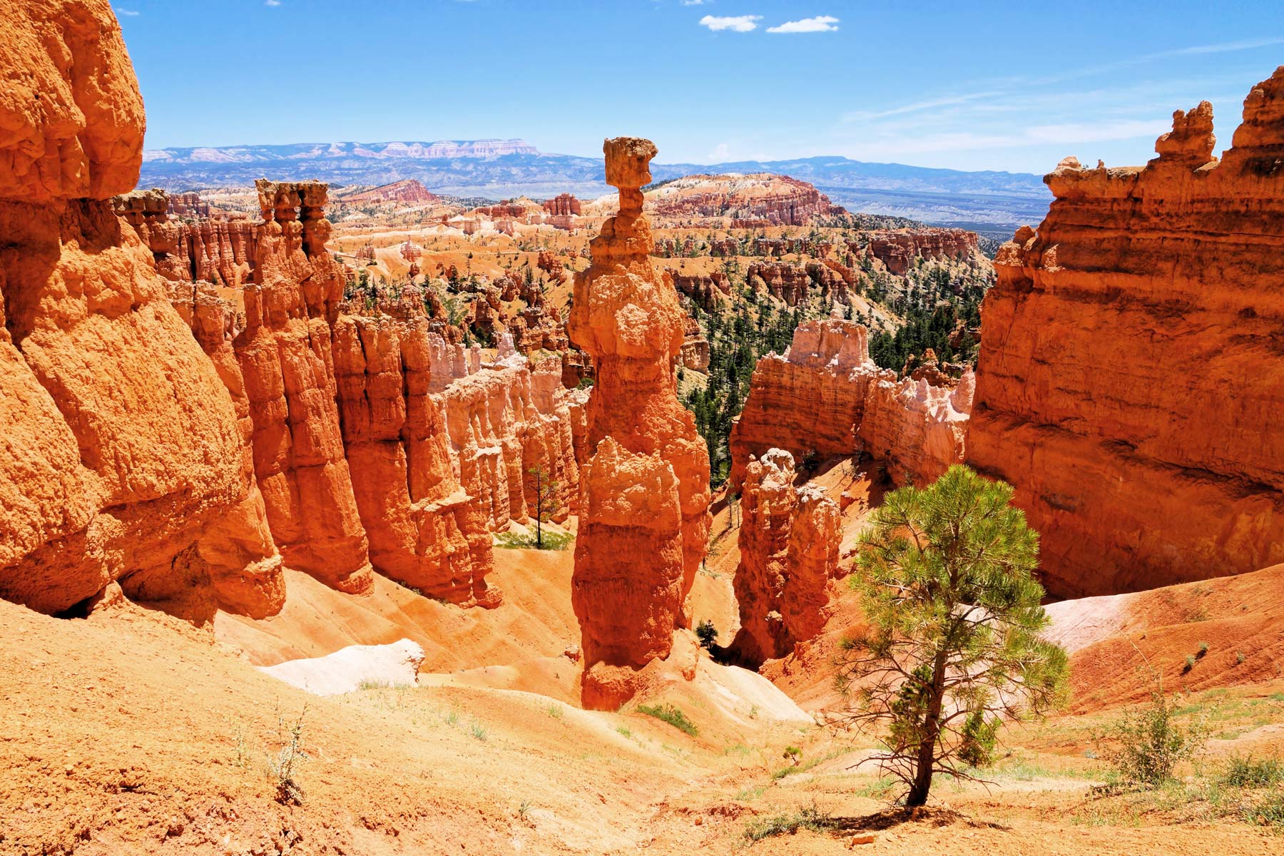 thors hammer bryce canyon, thors hammer sunrise point, bryce canyon national park utah