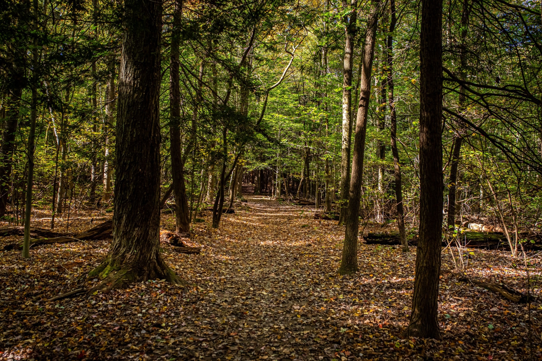 things to do cuyahoga valley national park