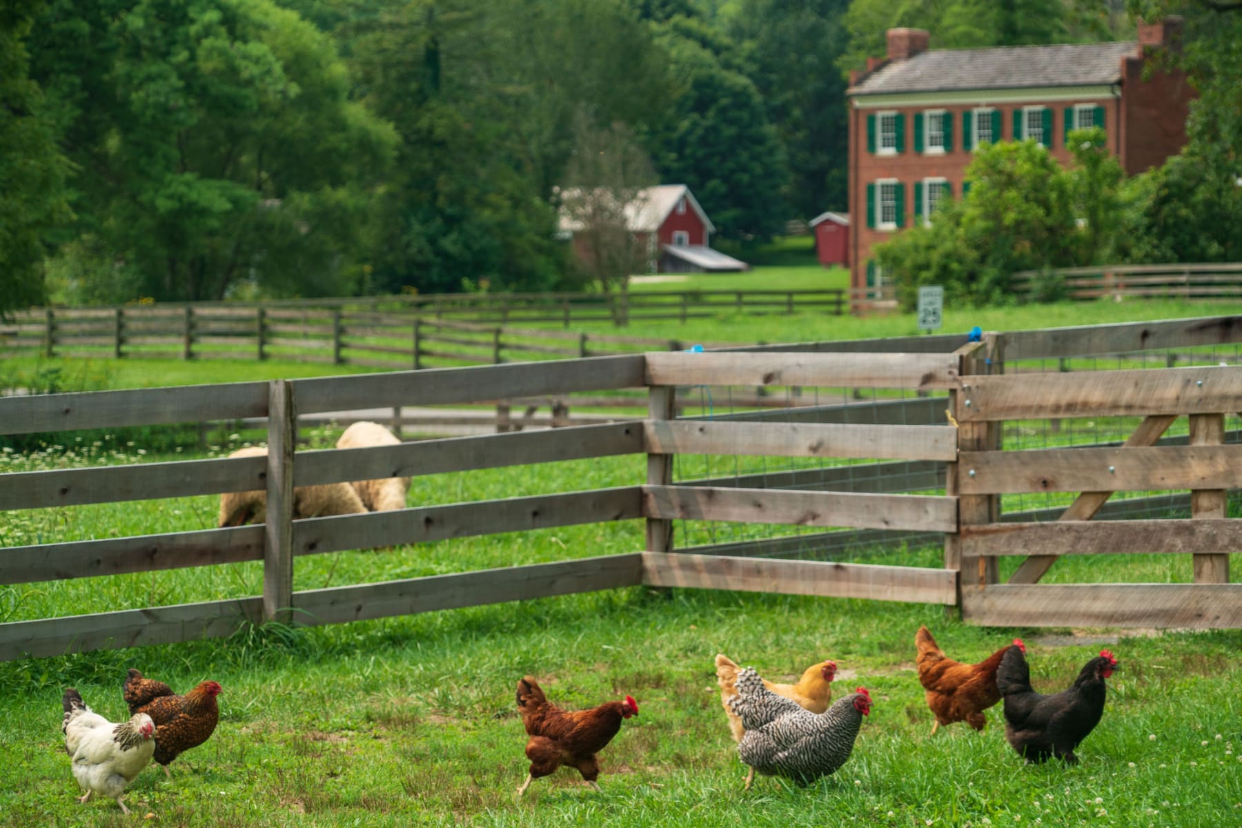 things to do cuyahoga valley