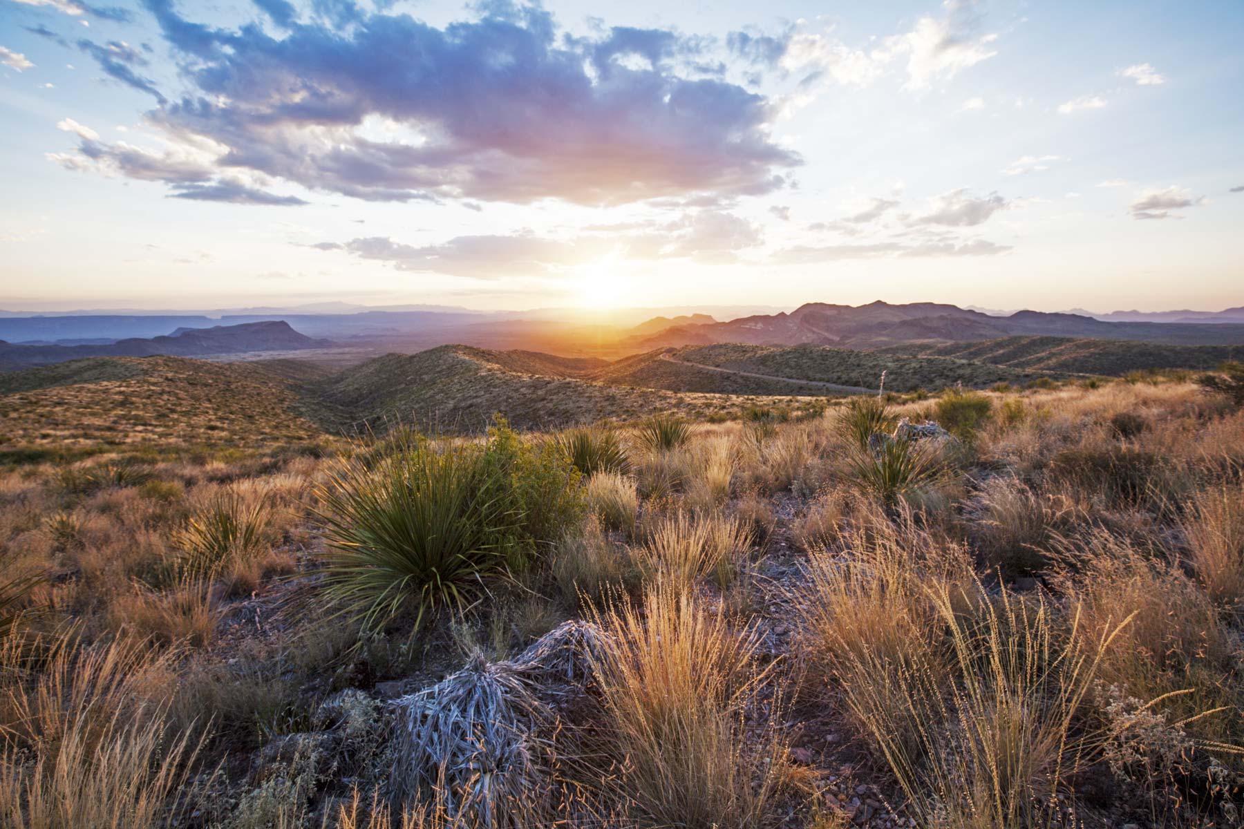 sotol vista overlook at big bend national park
