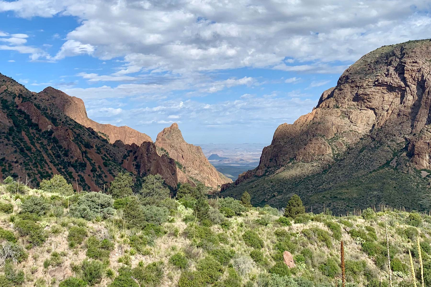 things to do big bend national park texas