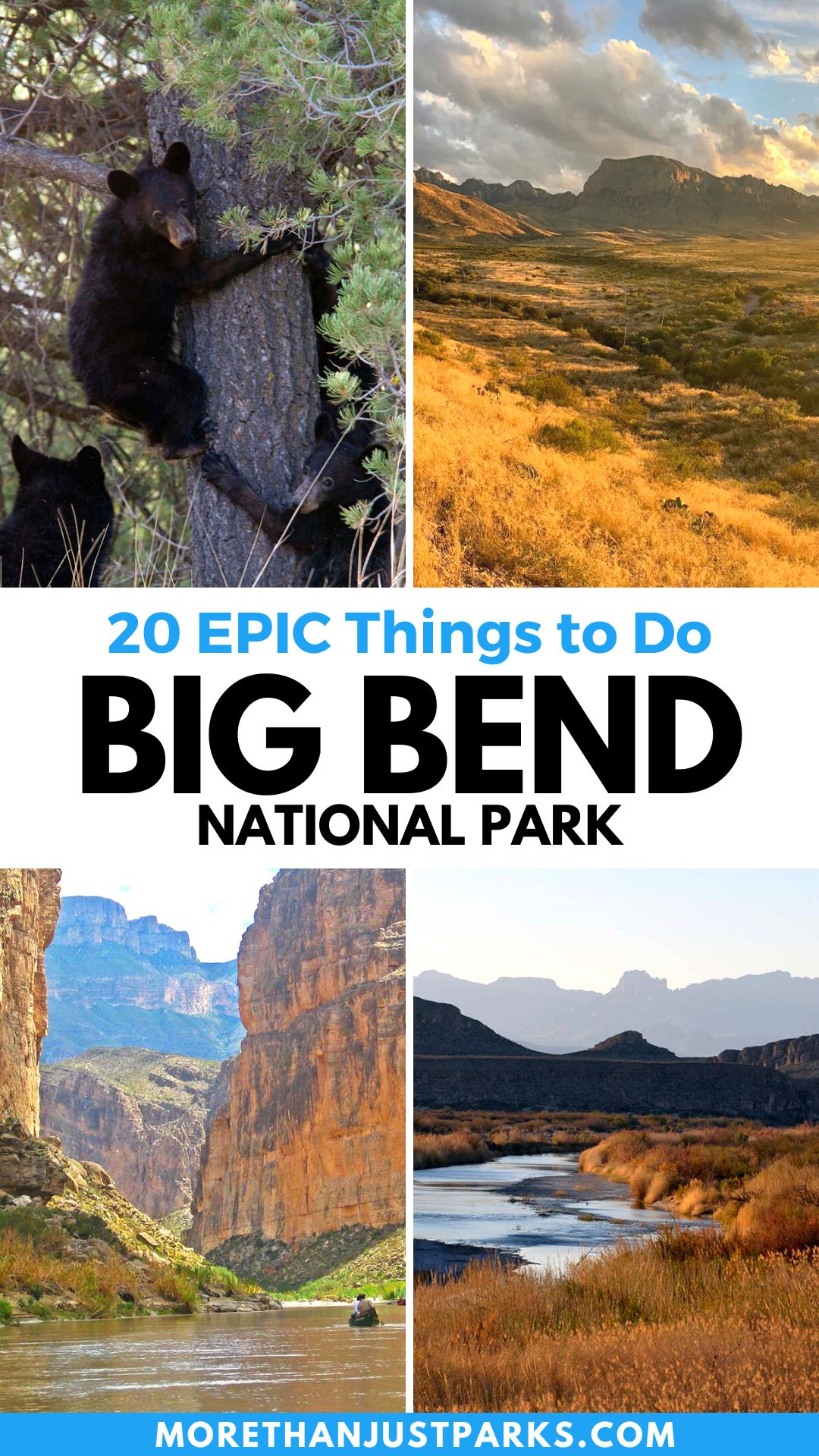 things to do big bend national park texas