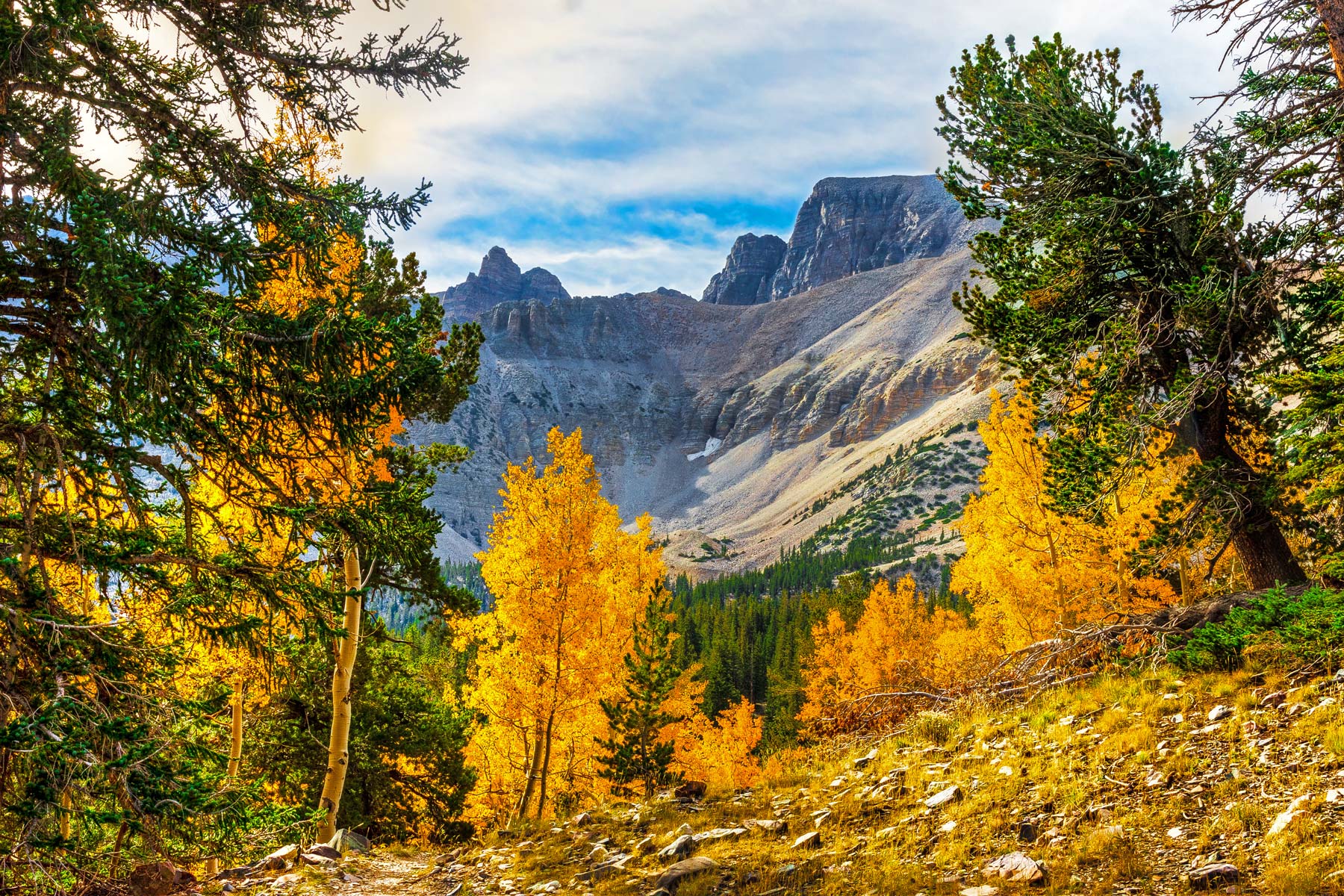 fall foliage in great basin national park nevada