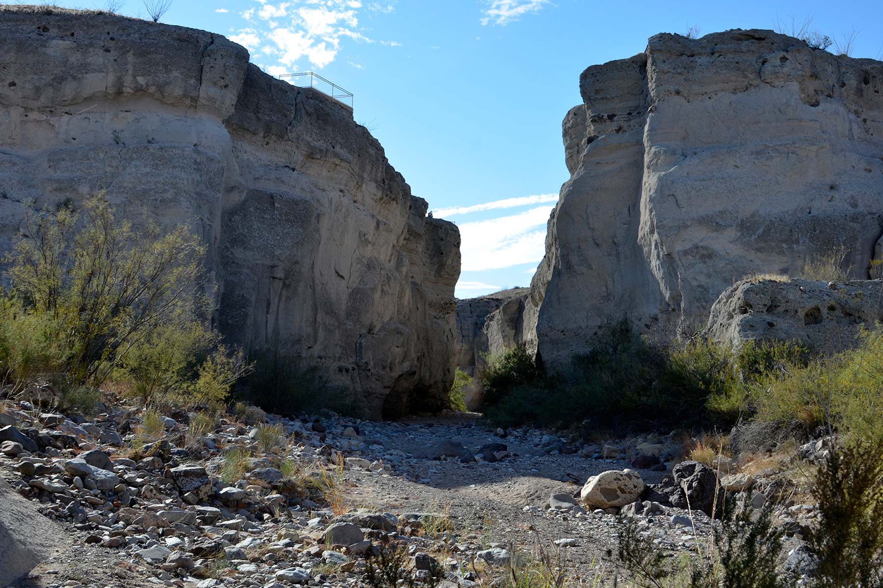 things to do big bend national park texas