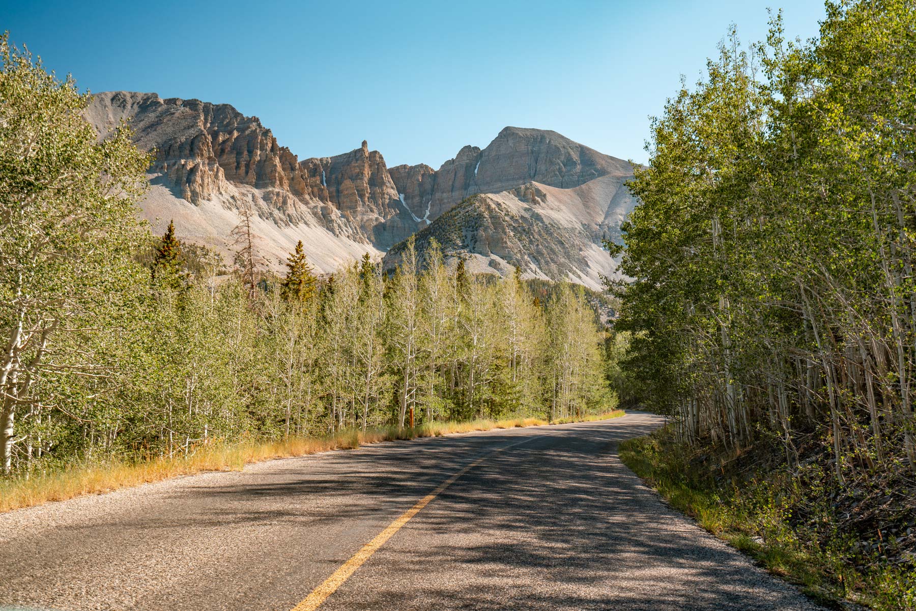 wheeler peak scenic drive, things to do in great basin national park nevada